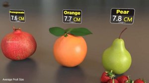 Сравнение размеров Фруктов Всего Мира