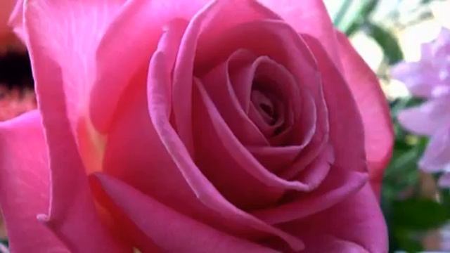 Слушать лучшую русскую песню с тв онлайн смотреть онлайн