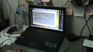 измеряем кубитальный индекс