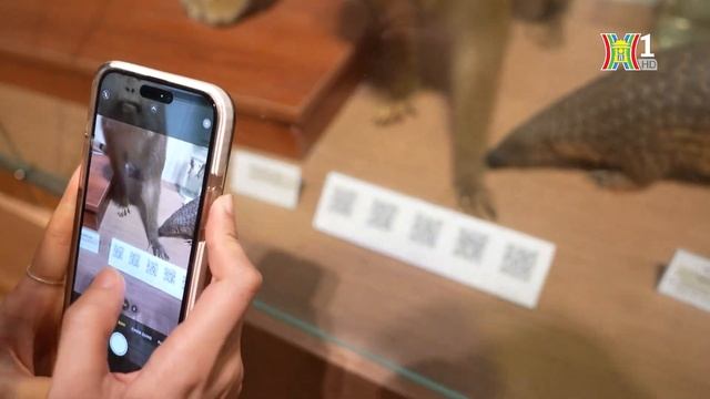 Sửng sốt Thế giới động thực vật hiếm có giữa Hà Nội  Hanoi Review