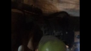 Реконструкция доильного зала на 2 доильных места