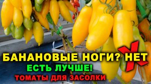 Лучше Банановых ног! Шикарные томаты для засолки