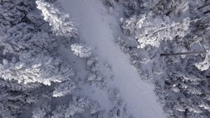 2081238-uhd_3840_2160_24fps
