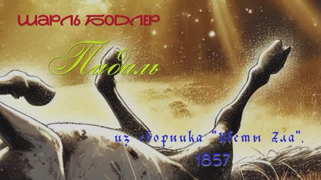 Падаль