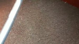 №38 Женщина за рулем комбайна и самый необычный день в поле!