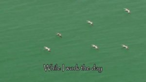 Chris Rea - Set Me Free