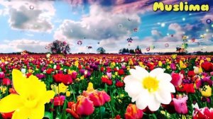 Тонги дуолар | Жуда кучли дуо Албатта тингланг