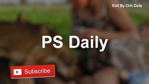 Lucky Smart Dog Playing With Cute Girl At Home | Funny Girl and Dog Group #2