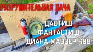 РАЗРУШИТЕЛЬНАЯ ДАЧА мощность пневматической винтовки ДИАНА Маузер К98 #пневматикадиана #дианамаузер