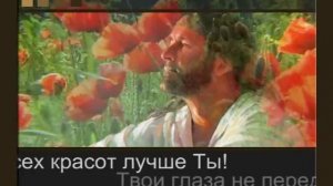 К Тебе мои мечты