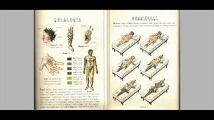 Очень странная книга