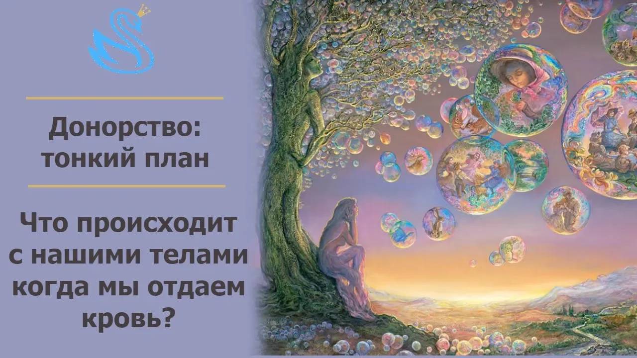 119. КРОВЬ САКРАЛЬНА! КАК ДОНОРСТВО ЗАБИРАЕТ СИЛУ РОДА. Регрессивный гипноз