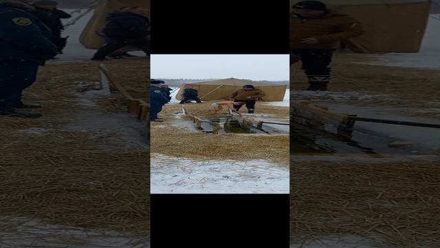 1000019888.mp4