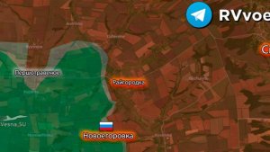 ВС РФ ОСВОБОДИЛИ НОВОЕГОРОВКУ И ШЕВЧЕНКО // ПРОДВИЖЕНИЕ У ПОКРОВСКА // НОВОСТИ 20.01.25