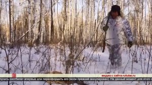 Охотничий билет в электронном виде 17.01.2025