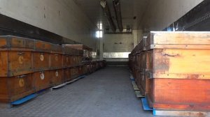 зимовник для пчел