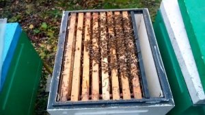 ветеринарный шприц для пролива рулит