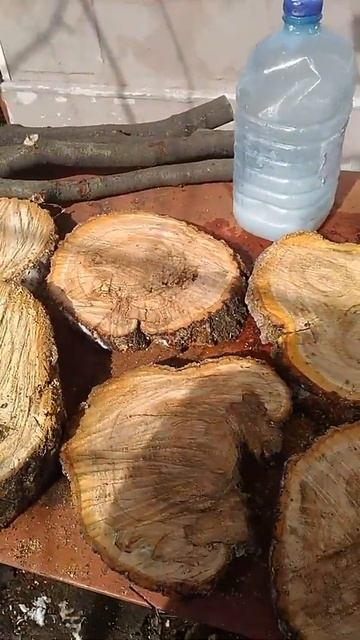 Наделали #спилов #абрикоса #20см смотреть онлайн