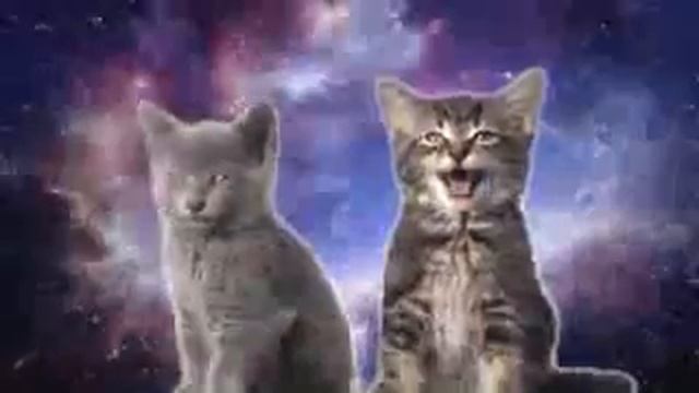 ПЕСНЯ КОТЯТ О КОСМОСЕ