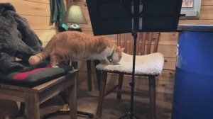 BRUCKE Relaxed Start to 2025 Projects, Nature, and Simple Living