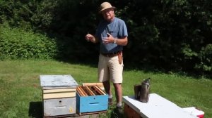 Что делать с пчелами-трутовками? (Канада)