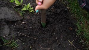 Отпугиватель Кротов Чистон 3 Антикрот