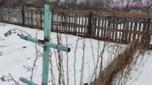 17-01-2025 приехал кормить кошечку Машу!