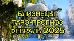БЛИЗНЕЦЫ/ТАРО-ПРОГНОЗ/ФЕВРАЛЬ 2025
