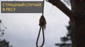 Страшный случай в лесу (Мистическая история)