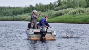 Рыбалка 🎣 Река Амга Республика Саха Якутия. Первый улов щука!!! #рыбалка #природа #якутия #сахасирэ