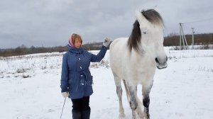 Лилия и Фаир. Уступки "на". КТК Конерадость декабрь, 2024