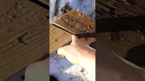 Висячие распорные стропила 1950 года сборки.