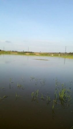 отдых и рыбалка)))(2)