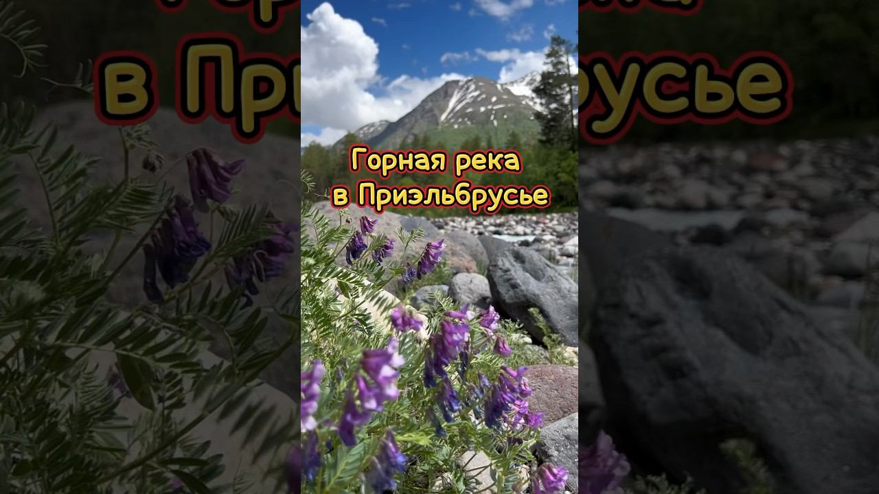 Красота и спокойствие в бушующей горной реке в #Приэльбрусье #горнаярека #горы #mountains #travel