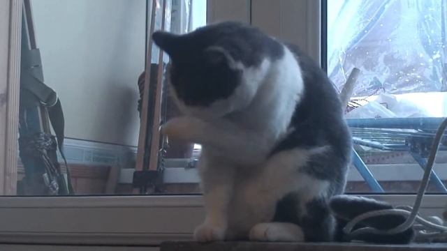 В ожидании завтрака) смотреть онлайн