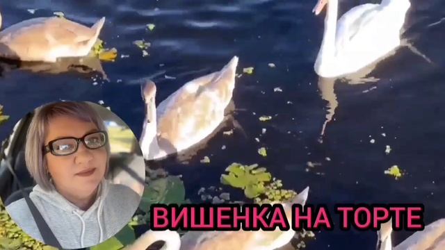 ТАЛАНТЛИВАЯ ТОРПЕДА🤣 ПИРАТСКАЯ ЖИЗНЬ. ОБЗОР. смотреть онлайн