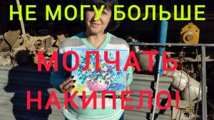 Переезд на юг/Не могу больше молчать! Накипело!/Выгорание/Разговор по душам/Закупка продуктов