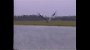 Первый полет журавленка