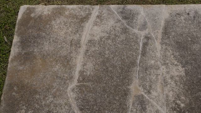 Preservation Month: Mike Wettlaufer смотреть онлайн