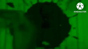 Маша, Все хорошо Csupo Effects (Sponsored by Nein Csupo Effects)