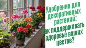 Удобрения для декоративных растений