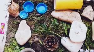 Мои любимые ящерицы.