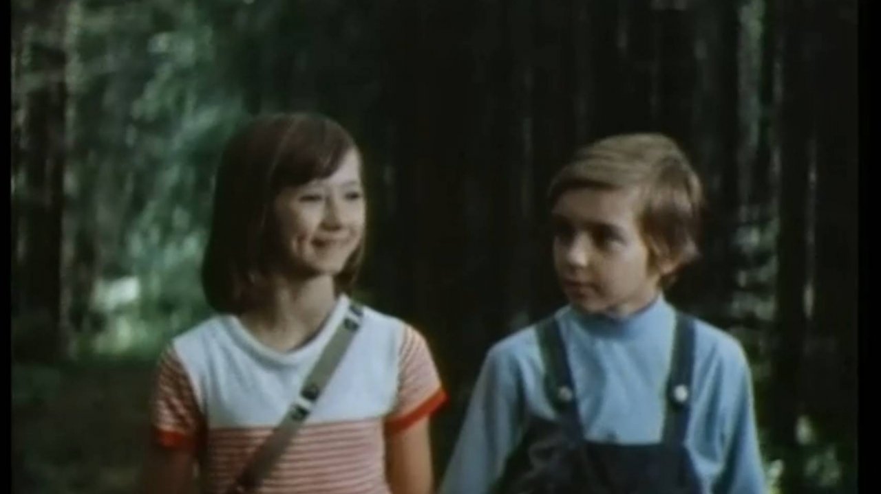 Честное волшебное (1975)