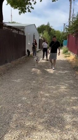 Завод тротуарной плитки Пропресс