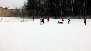 19.01.25 Товарищ 2- САС 1-0