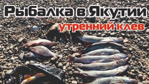 Рыбалка в Якутии. 540км за щукой