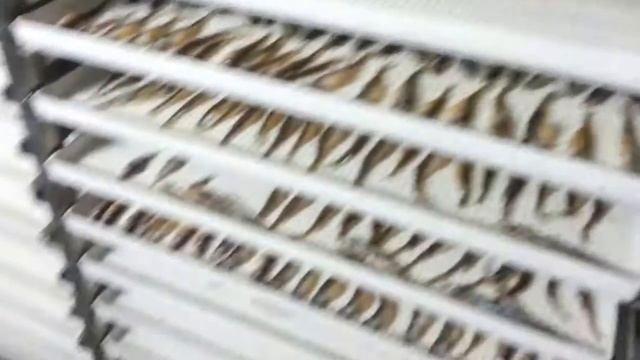 Лоток для вялки рыбы (и сушки овощей): МашПромТехнологии смотреть онлайн