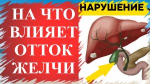 Отток желчи💥 К чему приводит Застой Желчи. Дискинезия