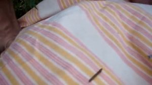 Путешествие червячка