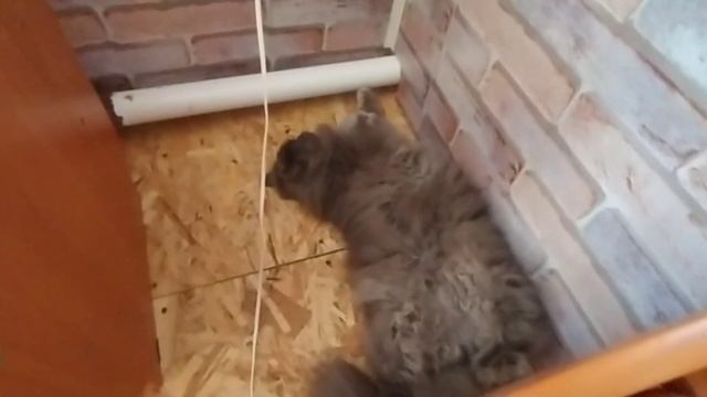 Село Хортица мои дни смотреть онлайн